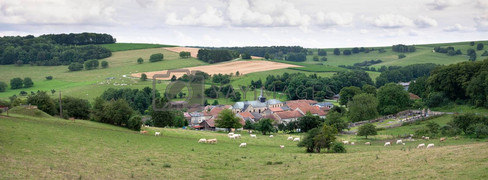 cloudy sky over summer countryside landscape with green meadows and village with cattle in french ardennes near charleville
