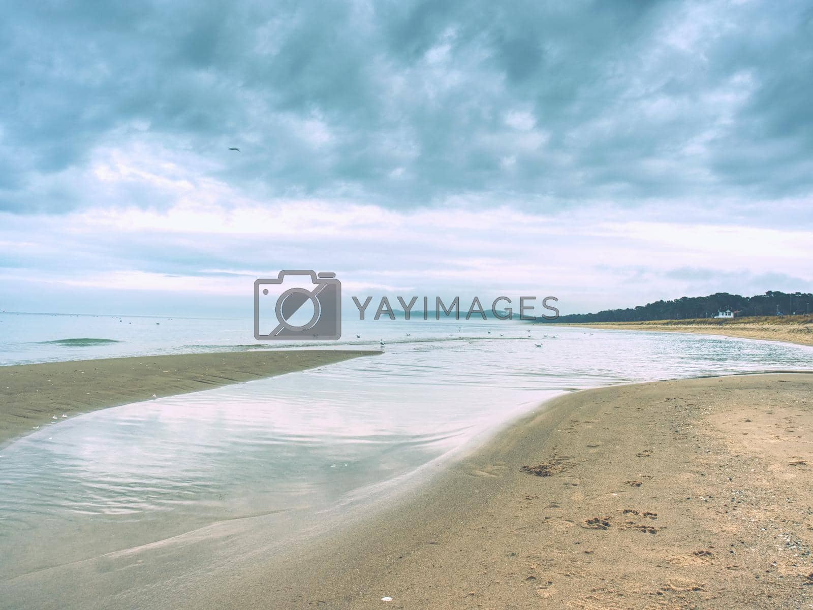 Royalty free image of Footprints of bare feet on wet sand of beach  by rdonar2