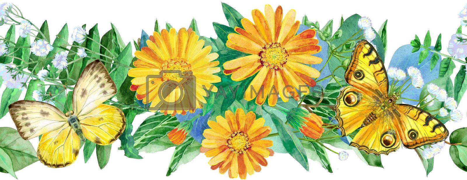 Royalty free image of Seamless floral border with yellow butterfly and calendula flowers on white background by NataOmsk