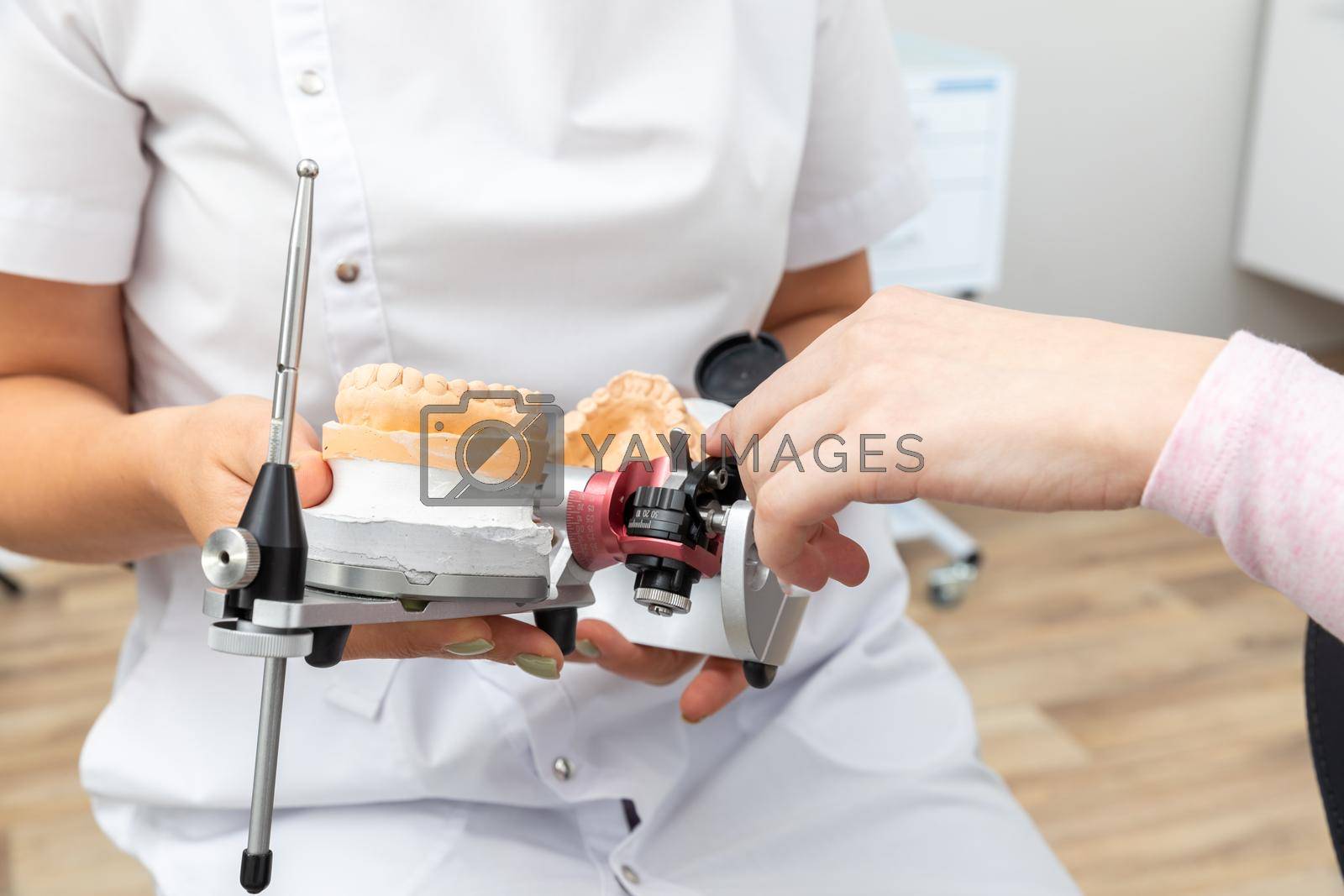 medical dental laboratory articulator occludator for determining occlusion, ratio of jaws of human teeth