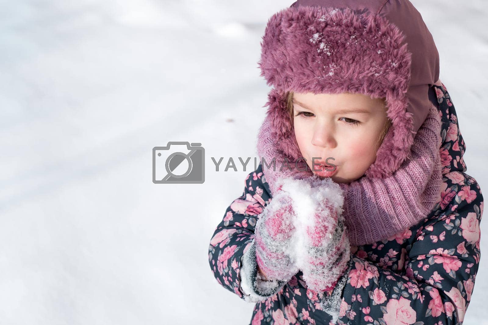 Royalty free image of Winter, games, family, childhood concepts - close-up portrait authentic little preschool minor 3-4 years girl in pink hat warm clothes have fun smiles in snowy frosty weather. Funny kid eat taste snow by mytrykau