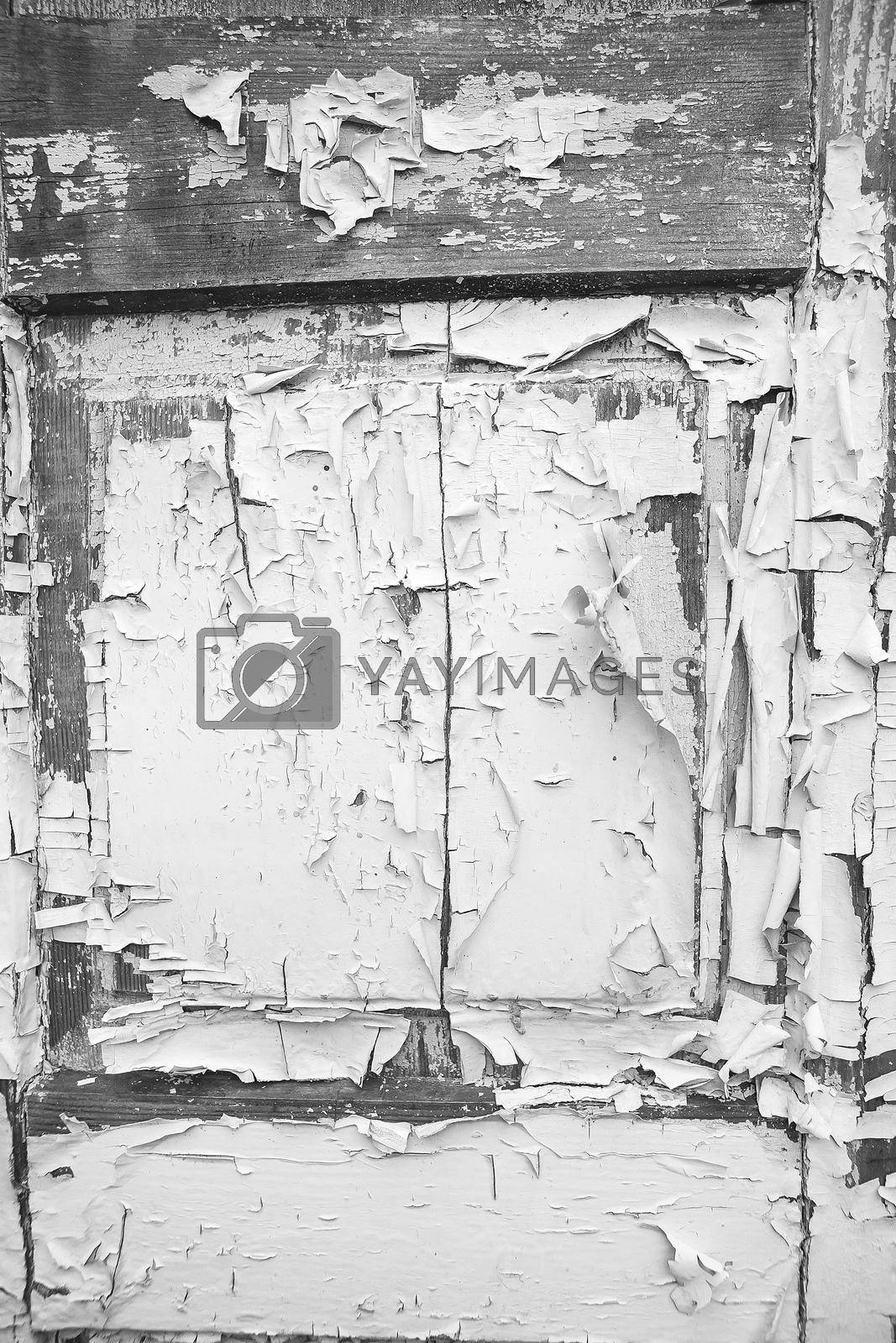 Very old wooden door with cracked paint, black and white.
