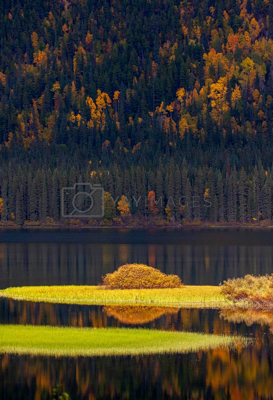 Northern Lake Yukon Canada Autumn Colors Wilderness