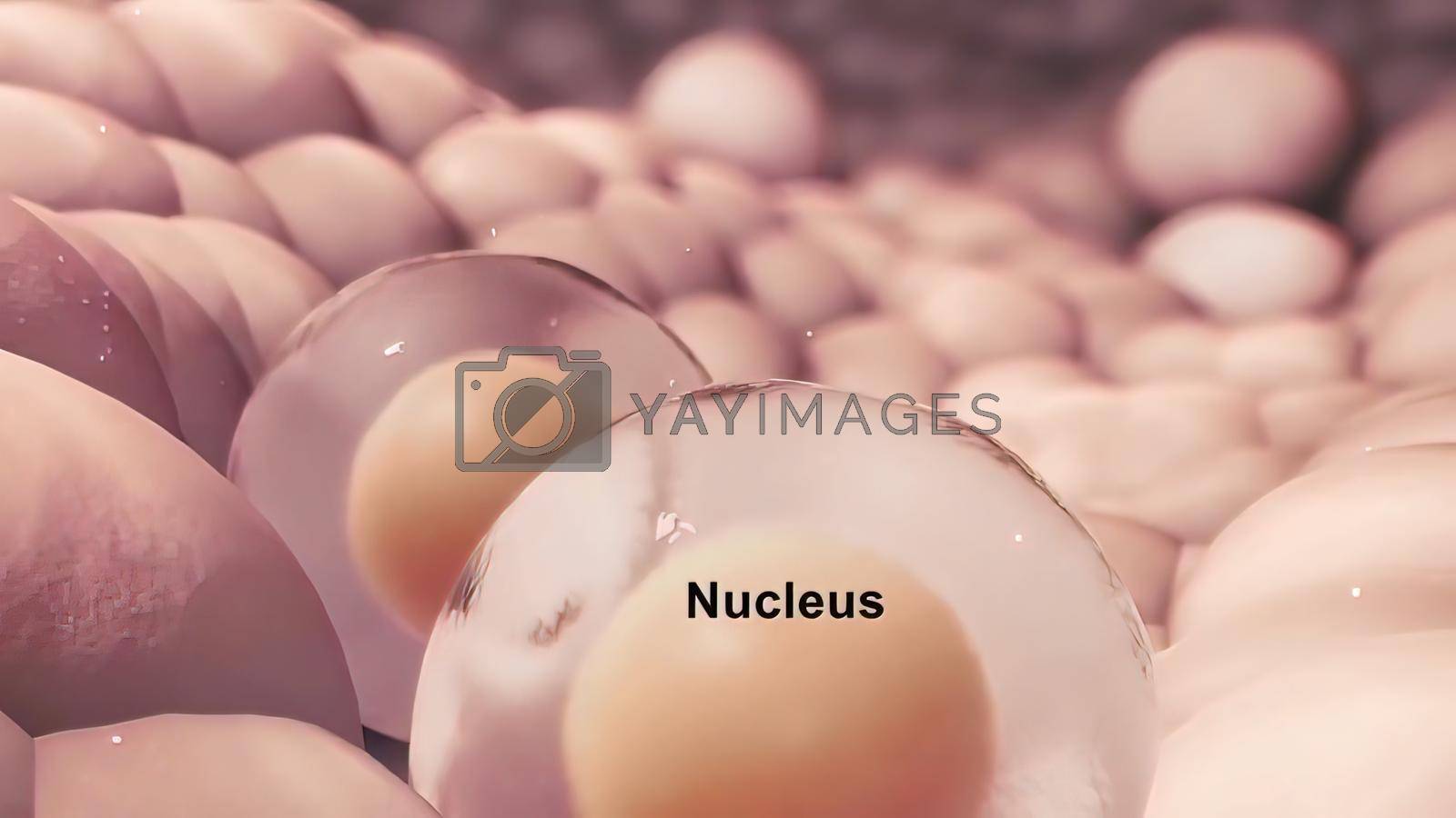 Royalty free image of Cell Division or Cloning Cells by creativepic