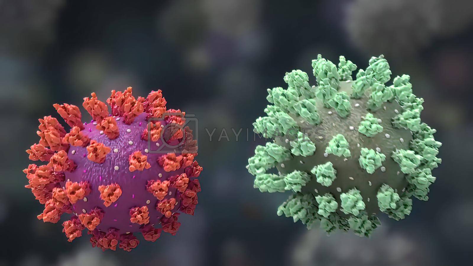 Royalty free image of Covid-19 is navigating the immune system by creativepic