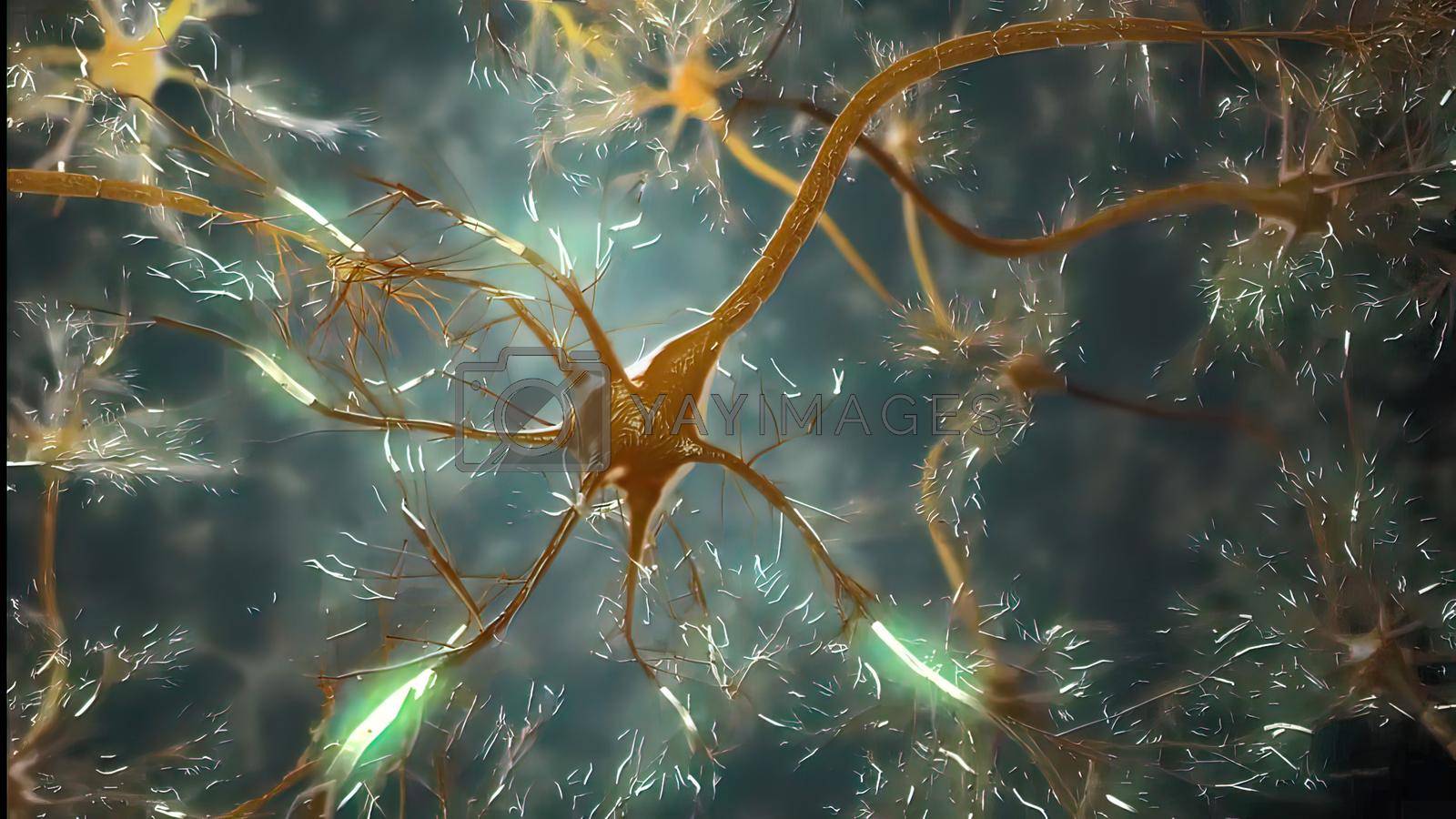 Royalty free image of 3D Medical Brain cell sand neurons by creativepic