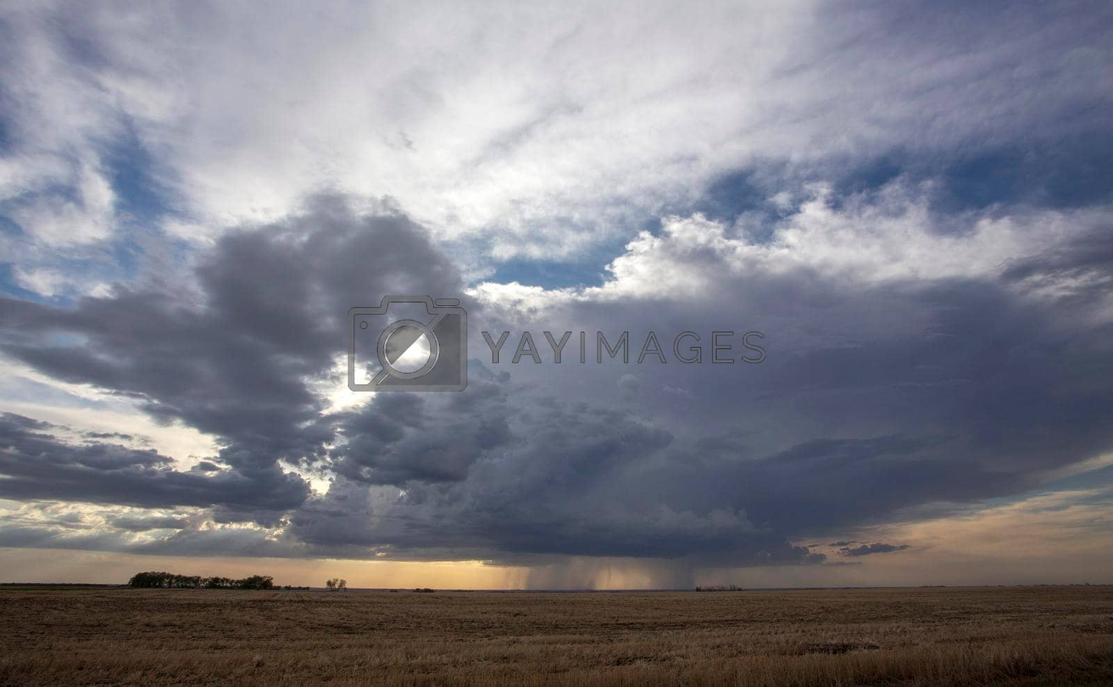 Royalty free image of Prairie Storm Clouds Canada by pictureguy