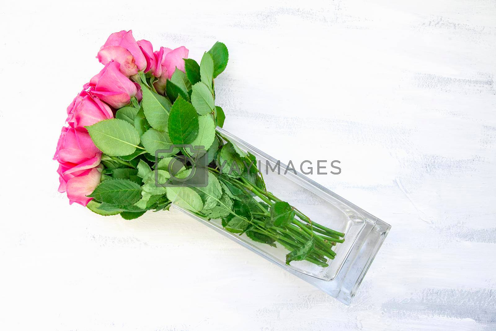 Royalty free image of Pink Rose Bouquet in Glass Vase on White Table by kisika