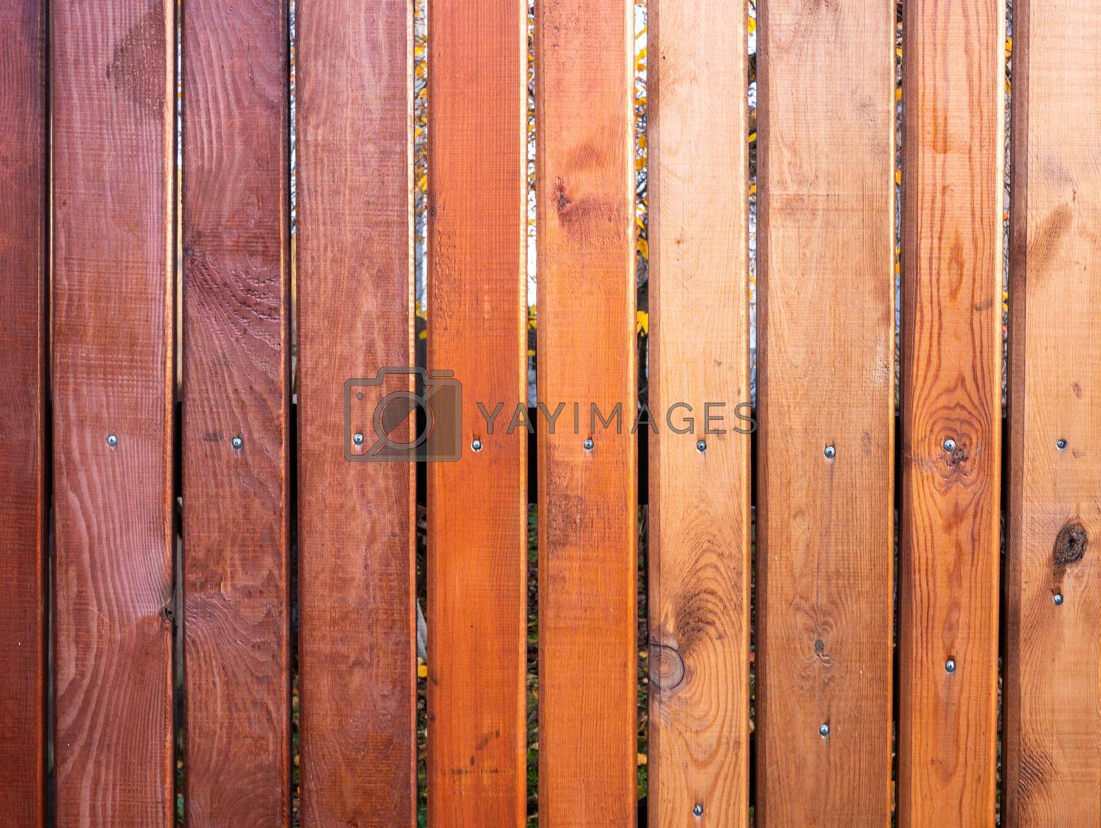 Abstract texture from brown new boards. Wood panel background.