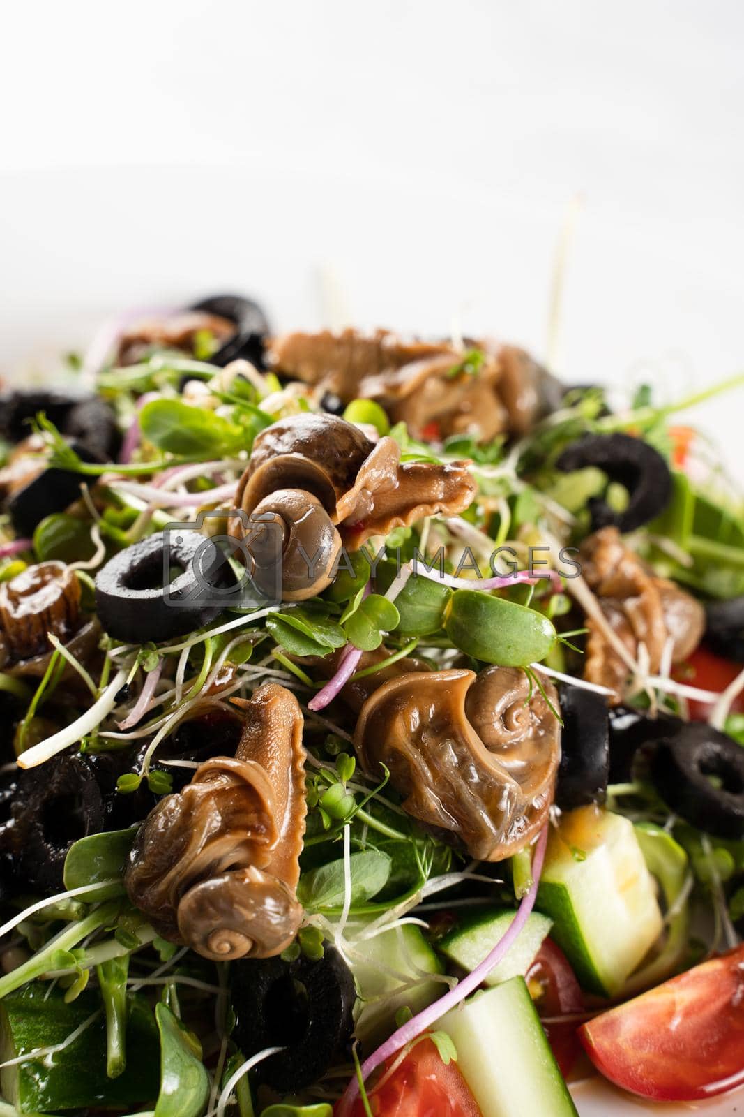 Royalty free image of Salad with snail, olive, tomatoe cherie, cucumber and greens by Rabizo