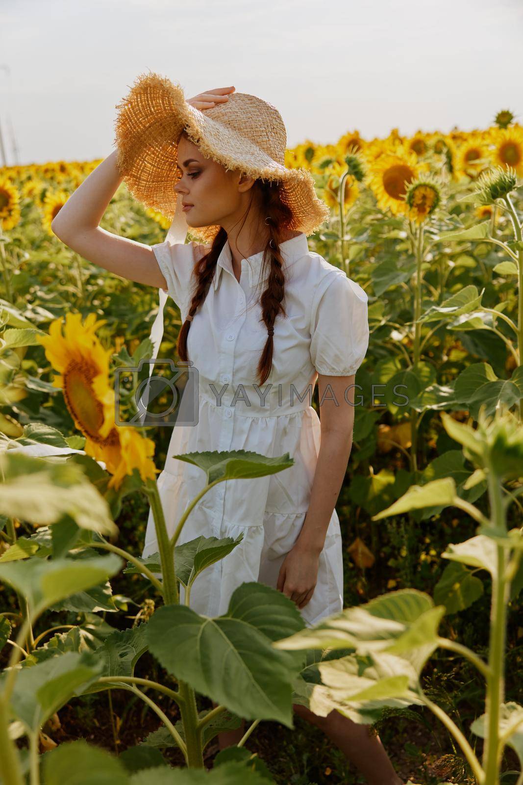 beautiful sweet girl in a field of sunflowers lifestyle countryside. High quality photo