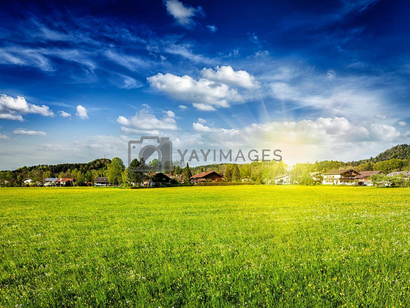 Royalty free image of Countryside meadow field with sun and blue sky by dimol