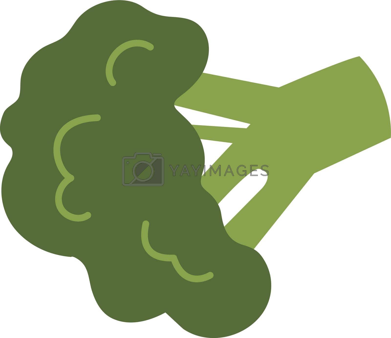 Royalty free image of Green broccoli icon. Fresh healthy diet cabbage by LadadikArt