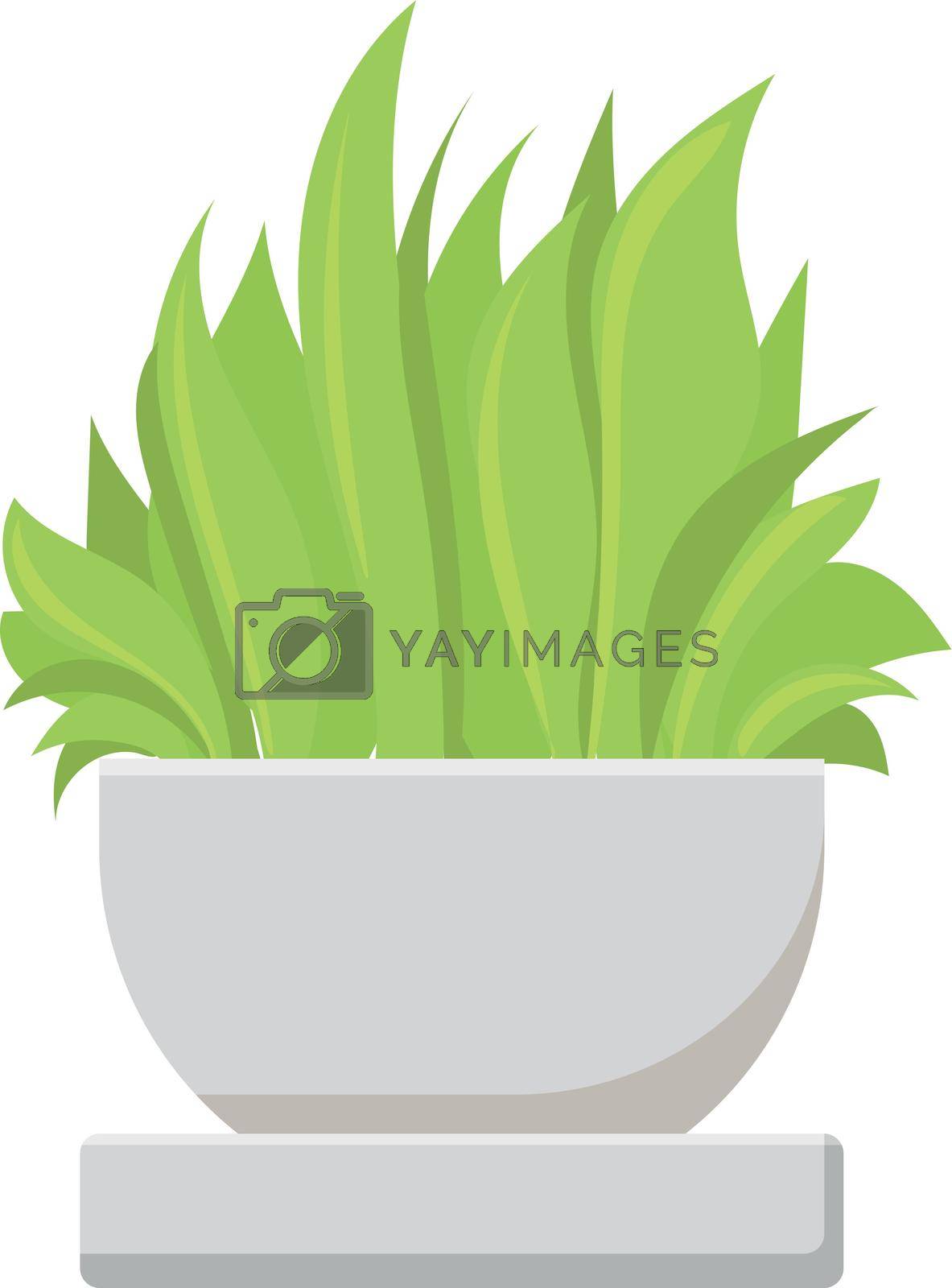 Royalty free image of Green plant in stone bowl. Outdoor floral decoration by LadadikArt
