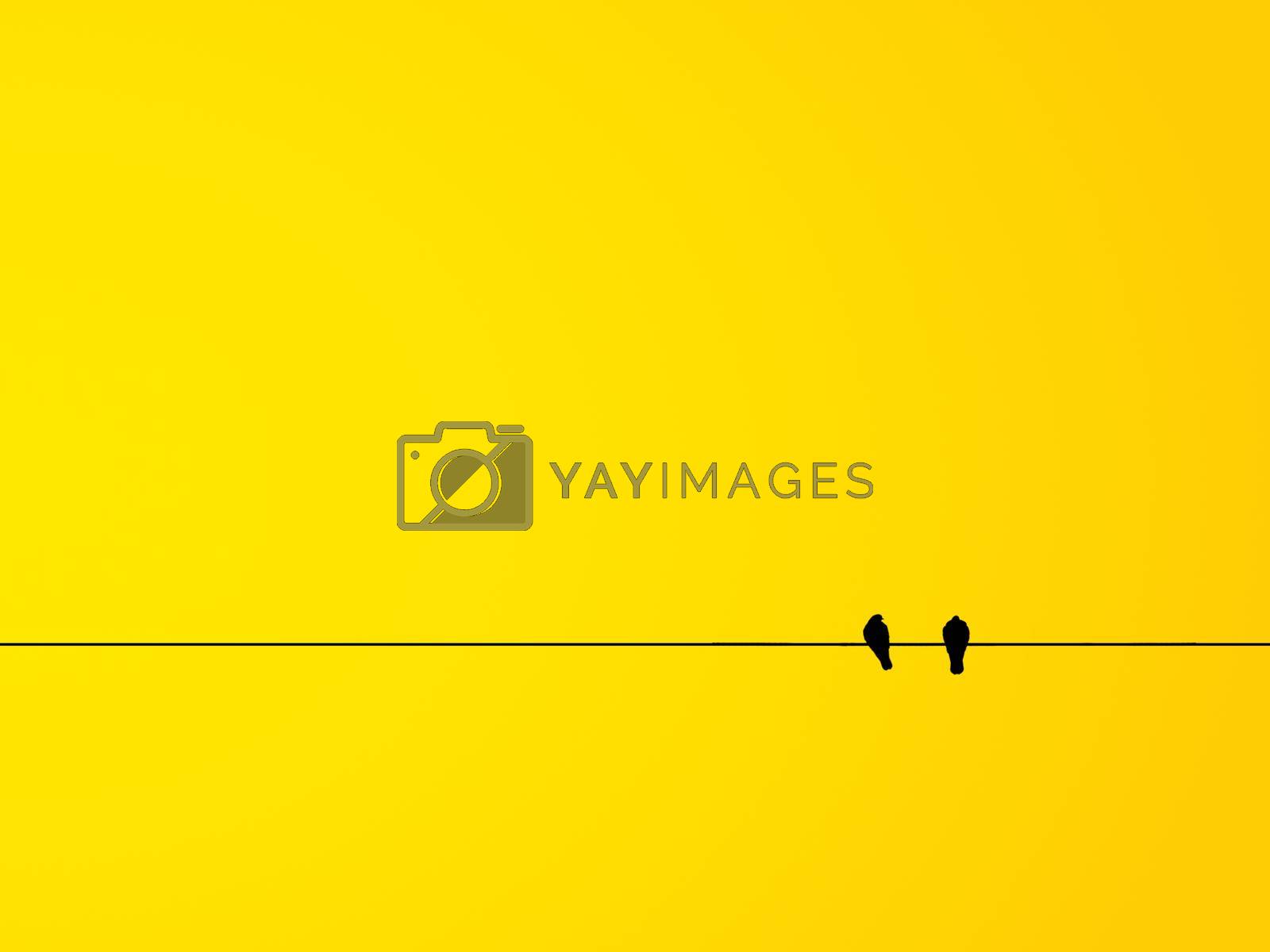 Yellow background and copy space for your design