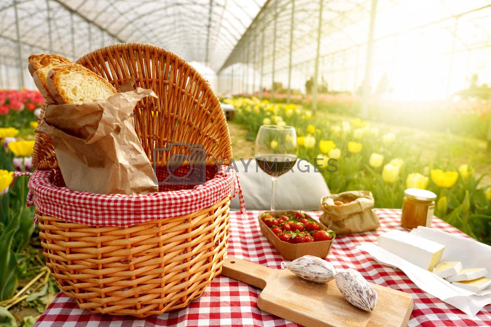 Picnic wicker basket with food on table in tulips greenhouse on sunset