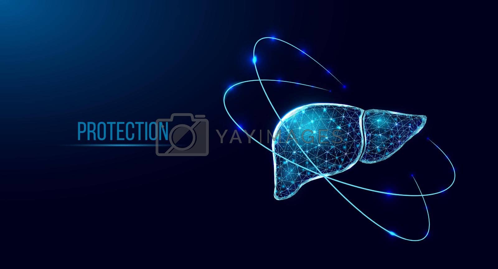 Royalty free image of Human liver protection. Wireframe low poly style. Abstract modern 3d vector illustration on dark blue background. by jatmikaV