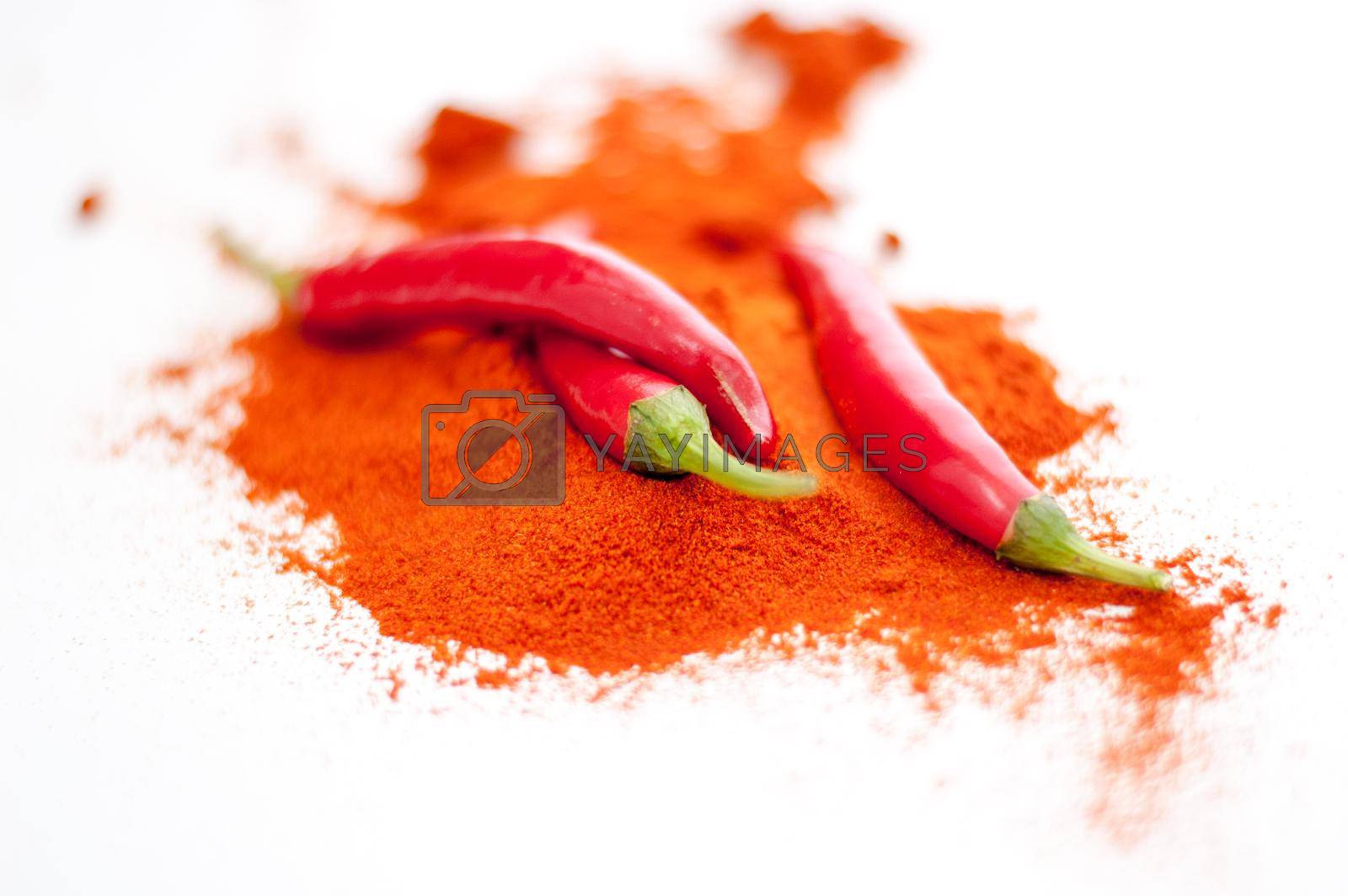 Royalty free image of fresh red hot pepper and powder on a white background by maramorosz