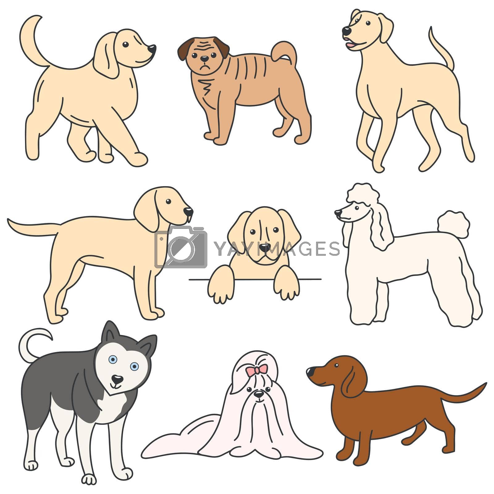 Set dog colored doodle style. Collection pets vector illustration. Labrador, husky, lap dog, dachshund cables and bitches
