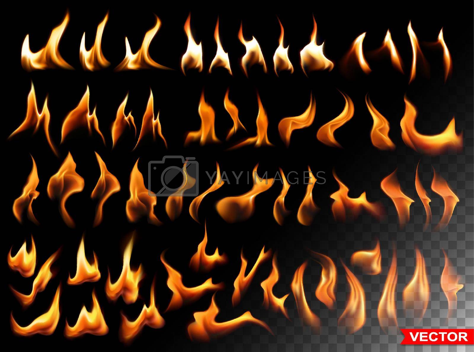 Royalty free image of Realistic burning fire flames bright elements by GB_Art