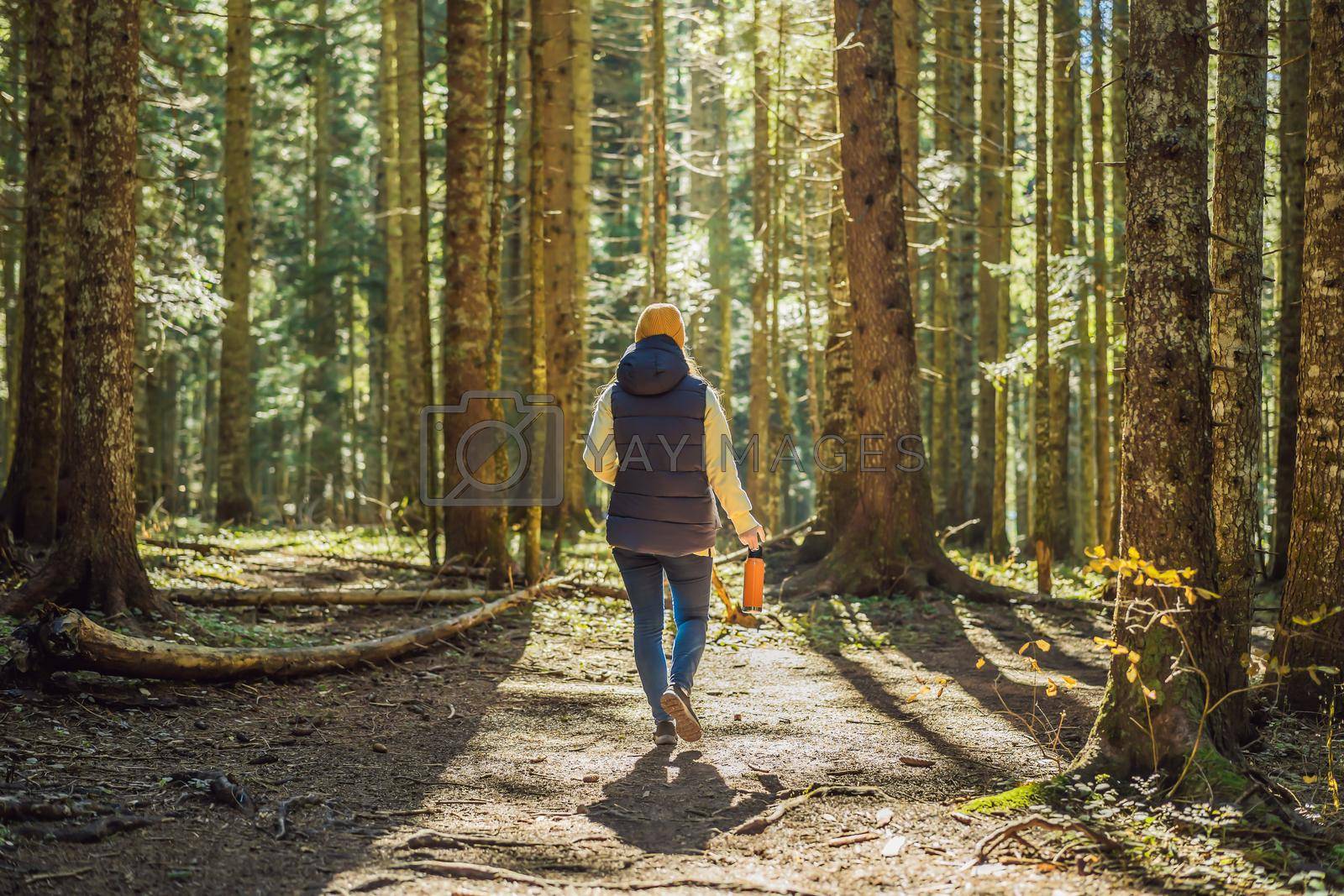 Royalty free image of A woman in warm clothes enjoys a walk in a pine forest by galitskaya