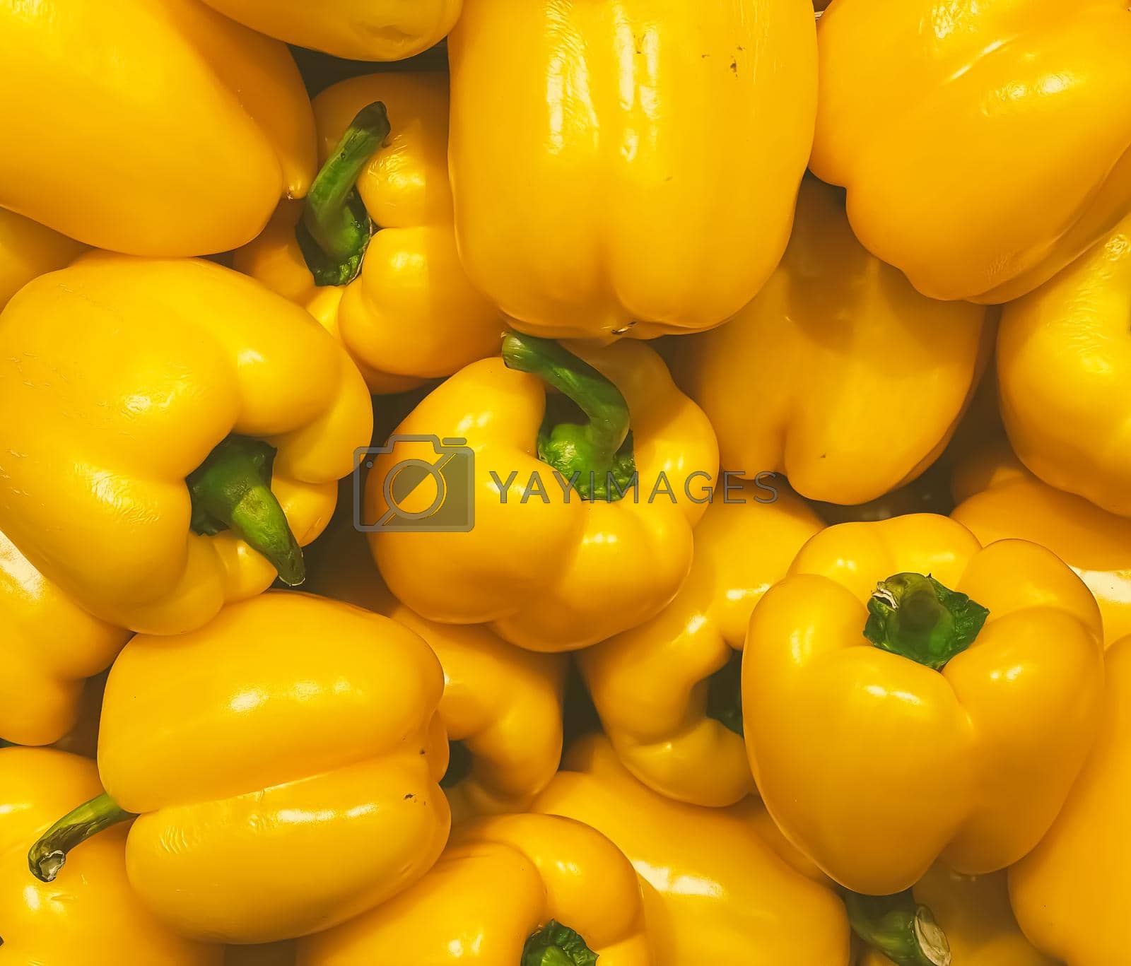 Royalty free image of Bell peppers as healthy organic food background, fresh vegetable at farmers market, diet and agriculture by Anneleven
