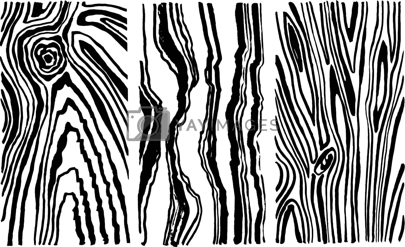 Hand drawn set wood texture. Saw cut the old tree. Vector sketch illustration made with ink and brush.