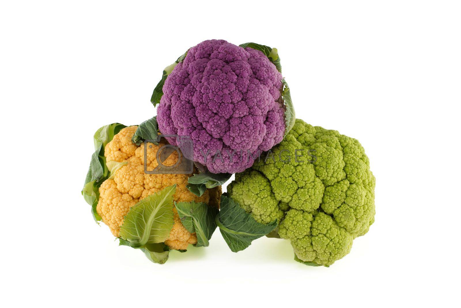Royalty free image of Colorful cauliflower cabbages on white by NetPix