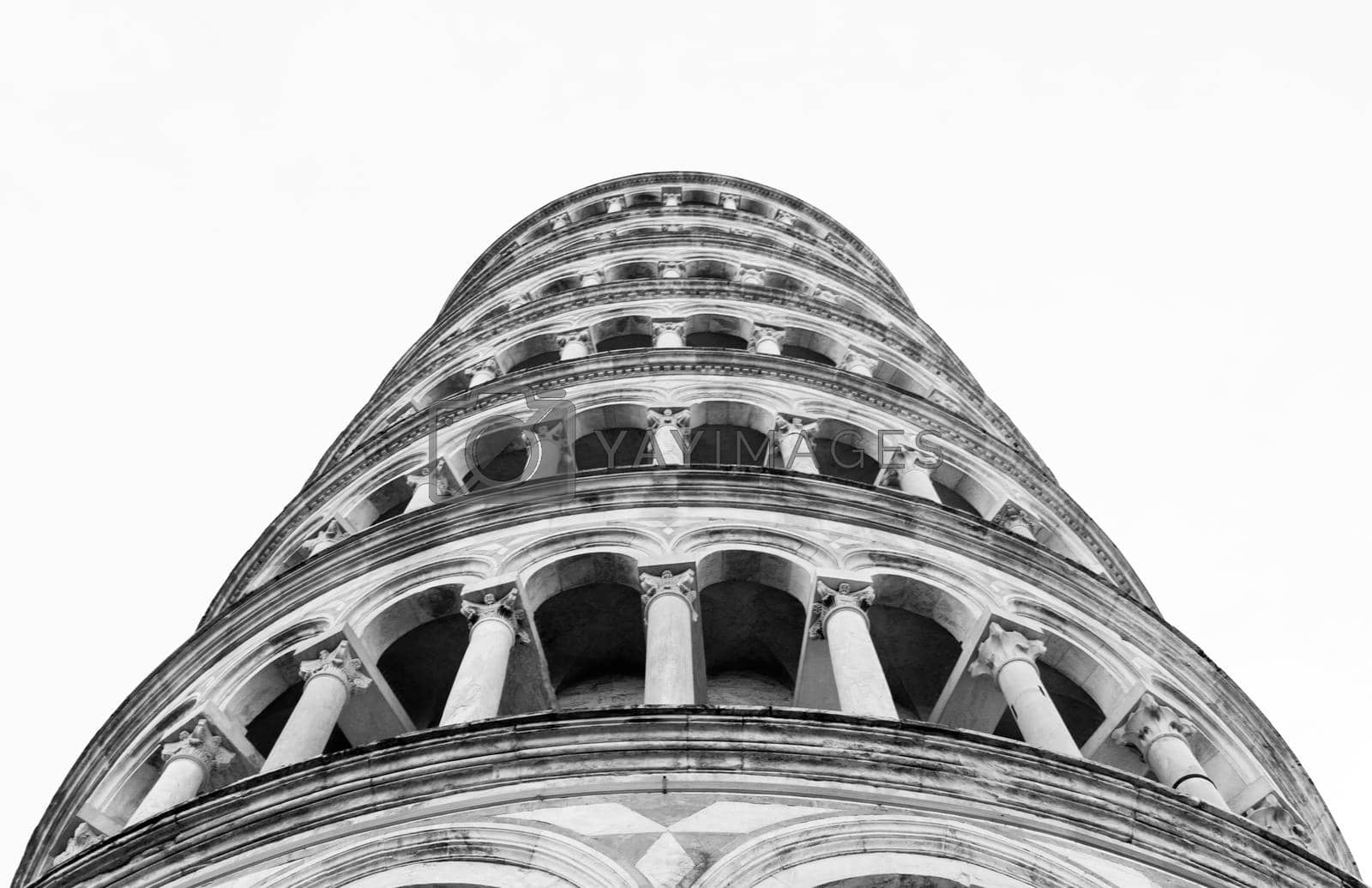Royalty free image of Tower of Pisa view from the bottom by contas