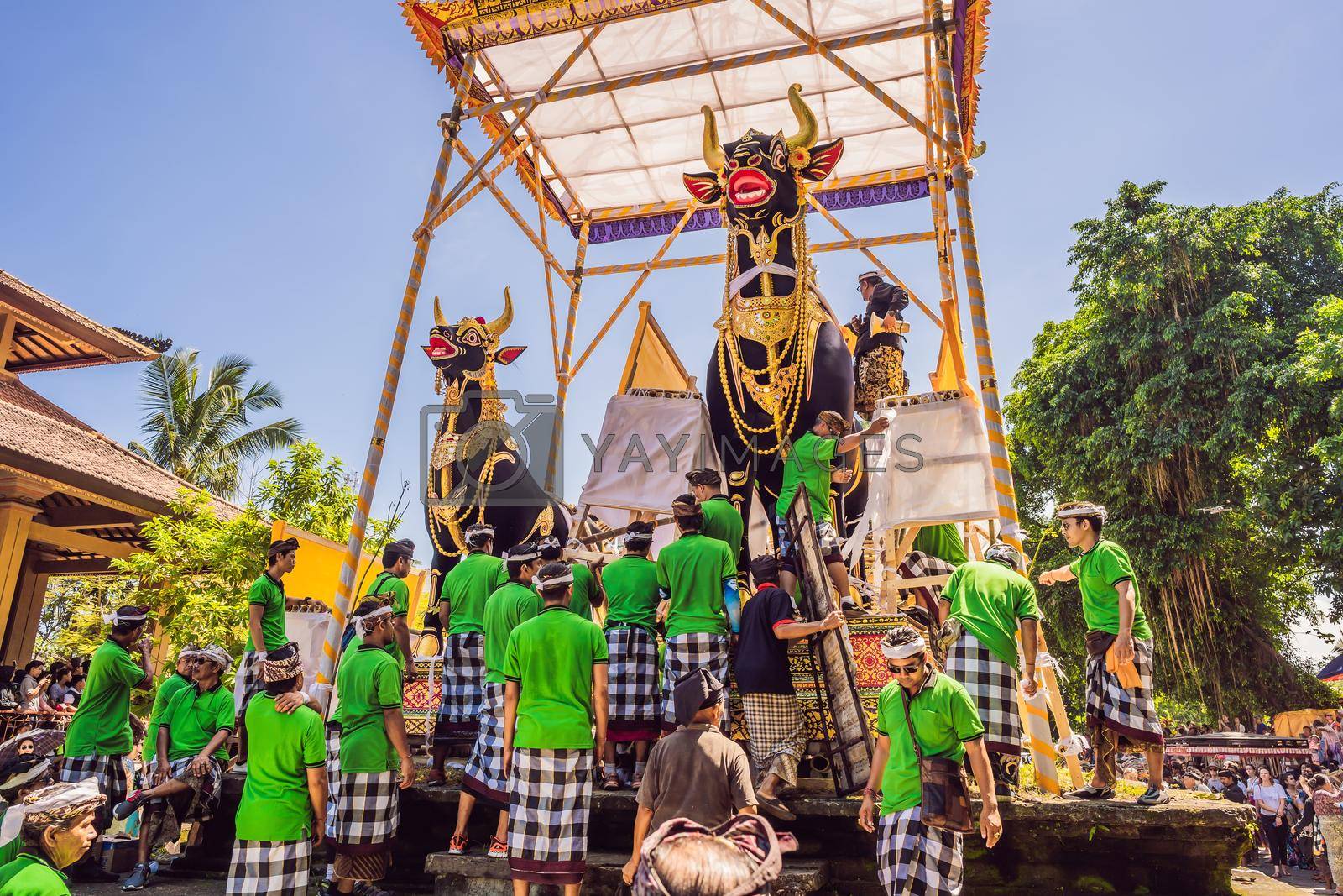 Ubud, Bali, Indonesia - April 22, 2019 : Royal cremation ceremony prepation. Balinese hindus religion procession. Bade and Lembu Black Bull symbol of transportation for the spirit to the heaven.