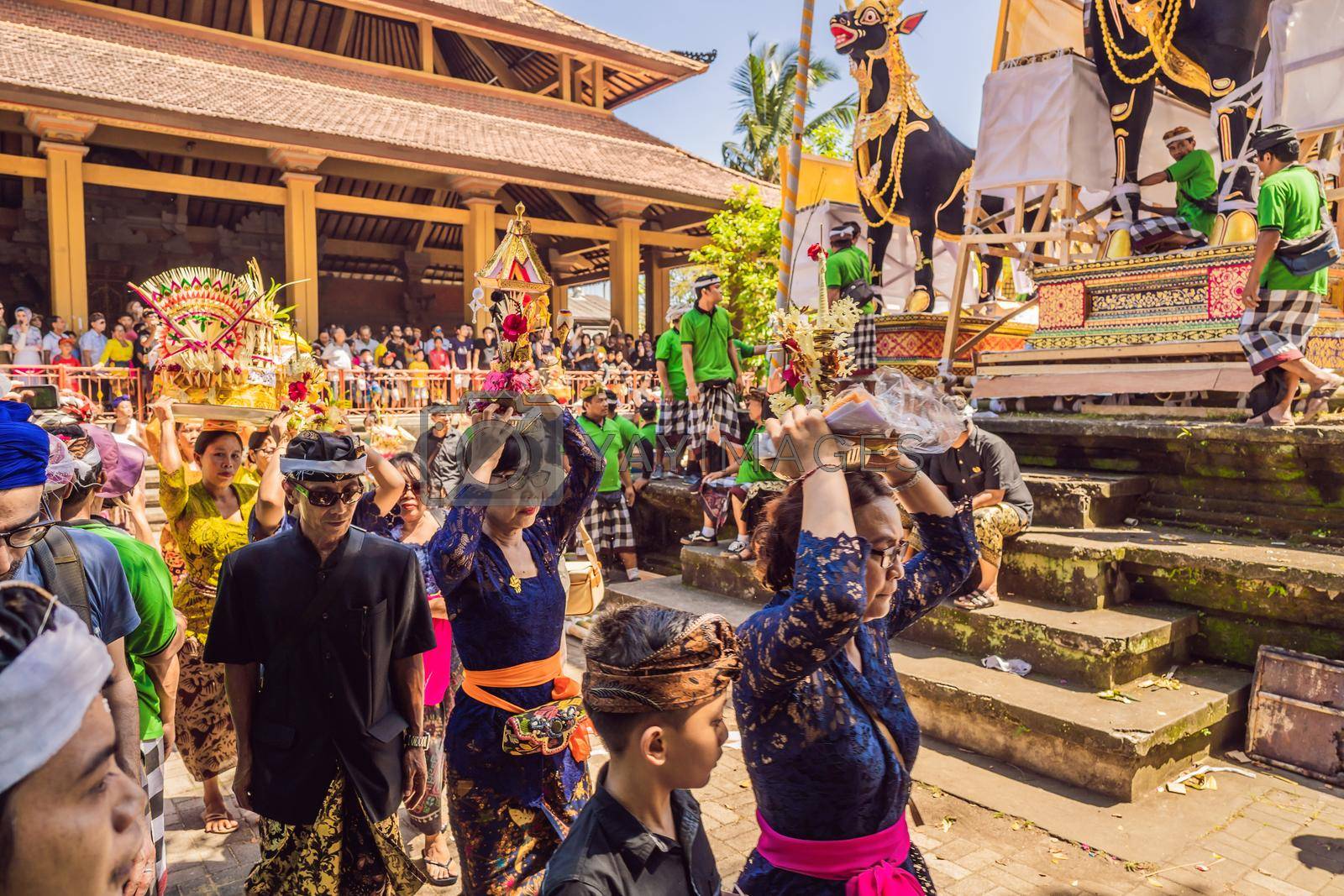 Ubud, Bali, Indonesia - April 22, 2019 : Royal cremation ceremony prepation. Balinese hindus religion procession. Bade and Lembu Black Bull symbol of transportation for the spirit to the heaven.