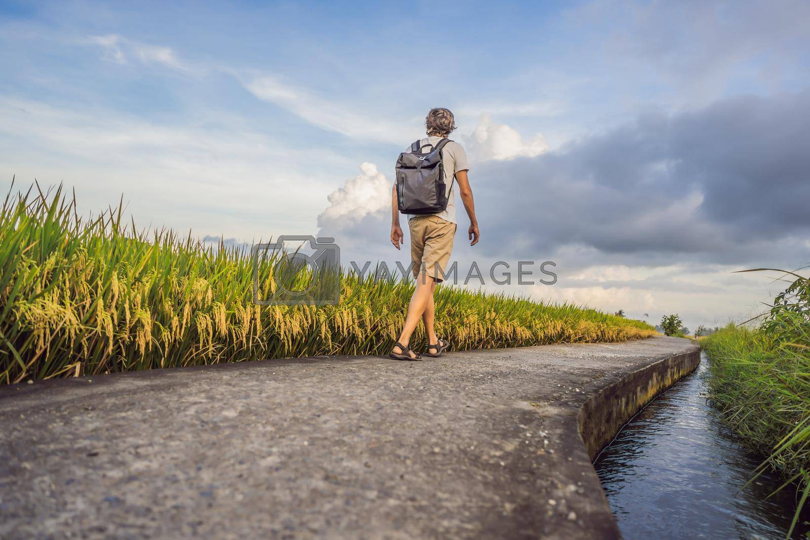 Royalty free image of Male tourist with a backpack goes on the rice field by galitskaya