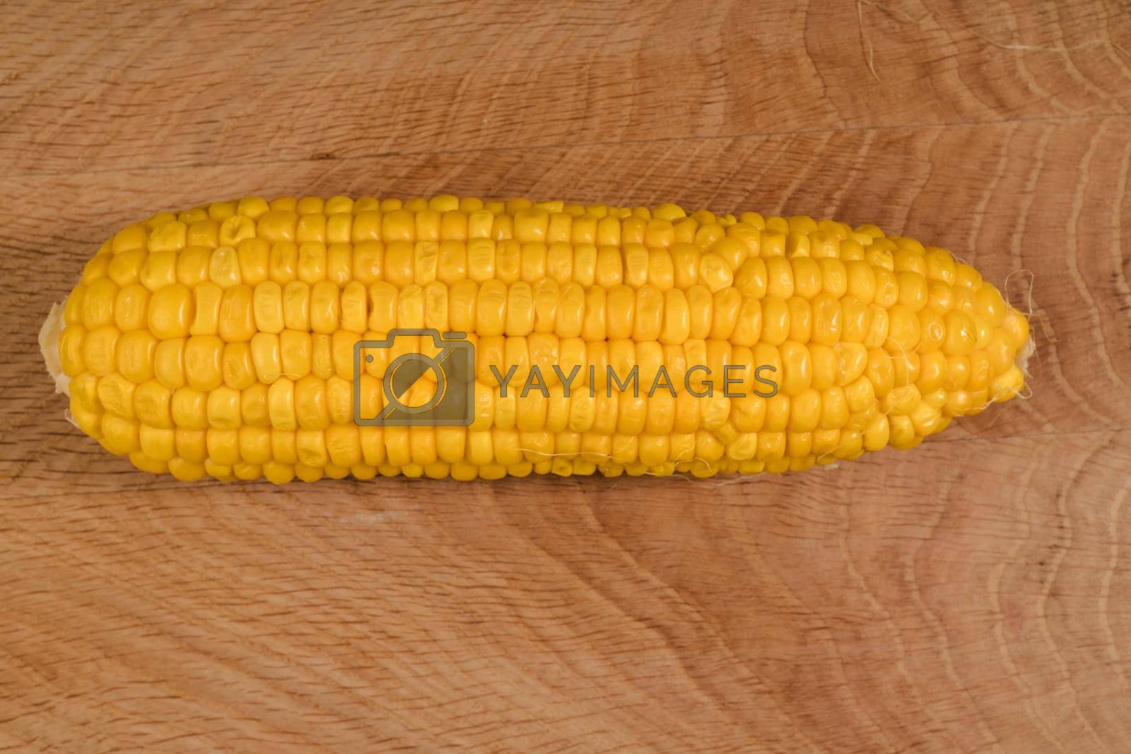 Royalty free image of Ripe corn in a roach, peeled from husk, on a wooden board by A_A