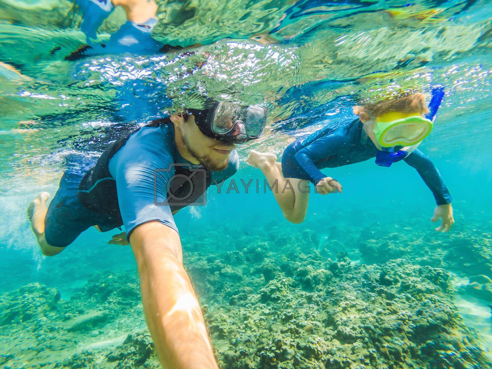 Royalty free image of Happy family - active kid in snorkeling mask dive underwater, see tropical fish in coral reef sea pool. Travel adventure, swimming activity on summer beach vacation with child by galitskaya