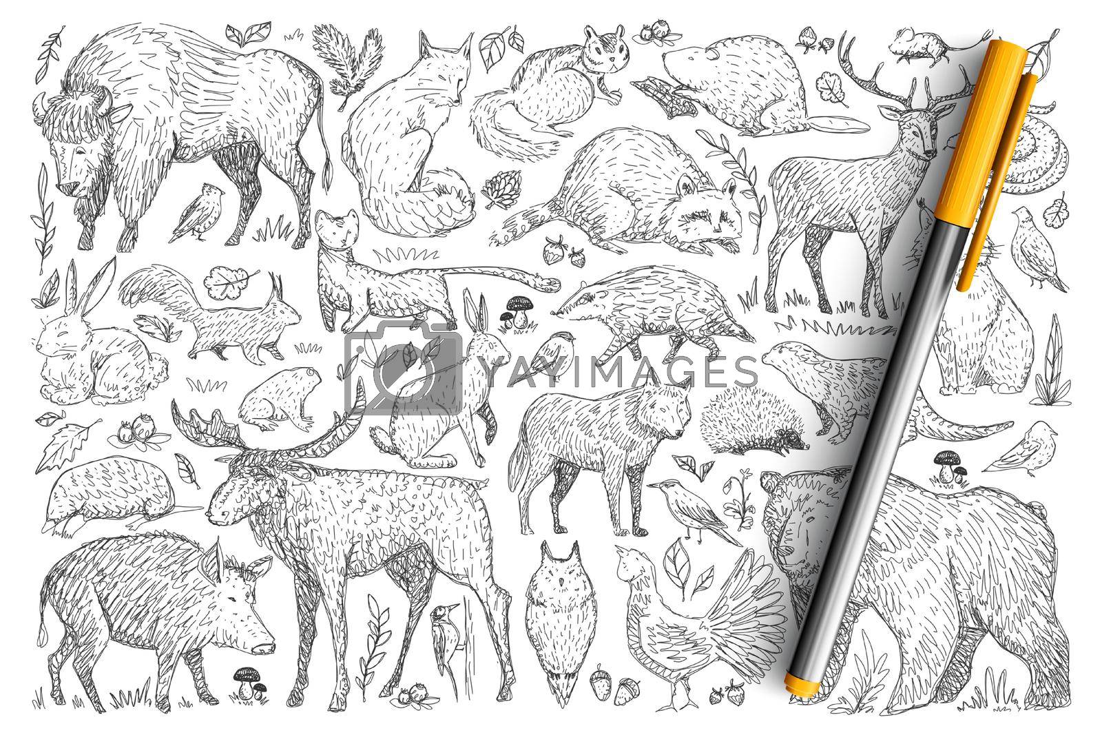 Forest wild animals doodle set. Collection of hand drawn deer fox bear rabbit squirrel raccoon buffalo hedgehog living in wild nature isolated on transparent background. Illustration of animals
