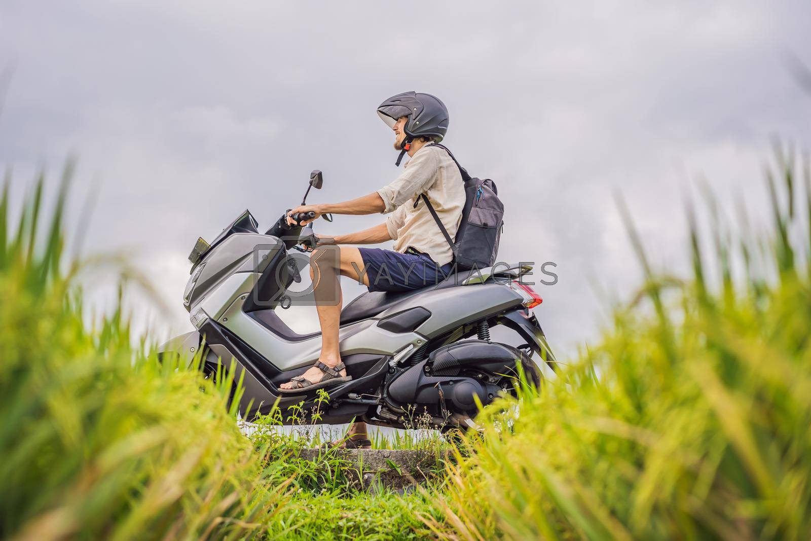 Royalty free image of Male traveler on a bike among a rice field. Tourist travels to Bali by galitskaya