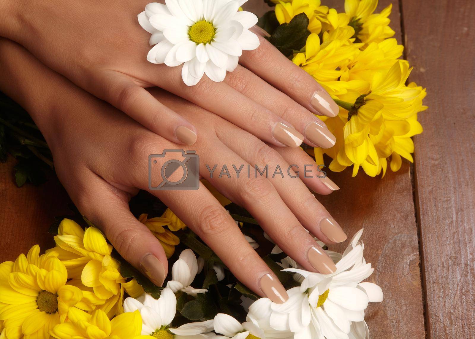 Royalty free image of Manicured nails with natural nail polish. Manicure with beige nailpolish. Fashion manicure. Shiny gel lacquer. Spring by MarinaFrost