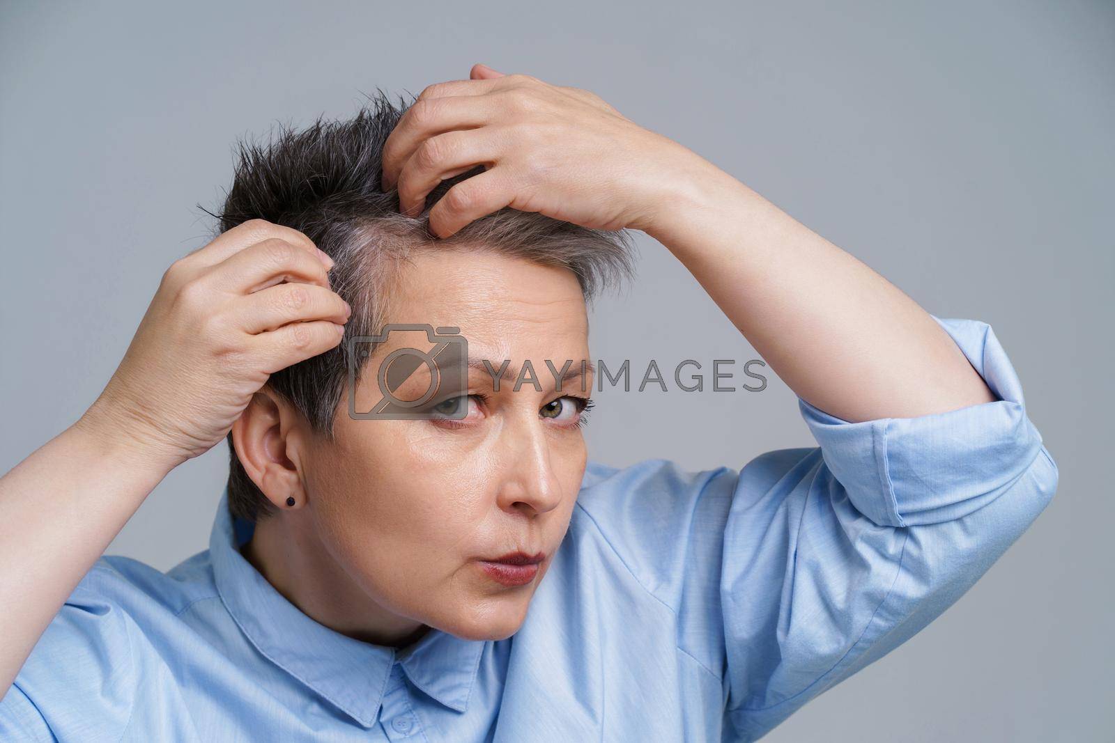 Royalty free image of Portrait of mature woman in 50s checking her hair and unhappy to see a results in mirror. Beautiful grey haired woman dealing with dandruff problem checking in mirror by LipikStockMedia