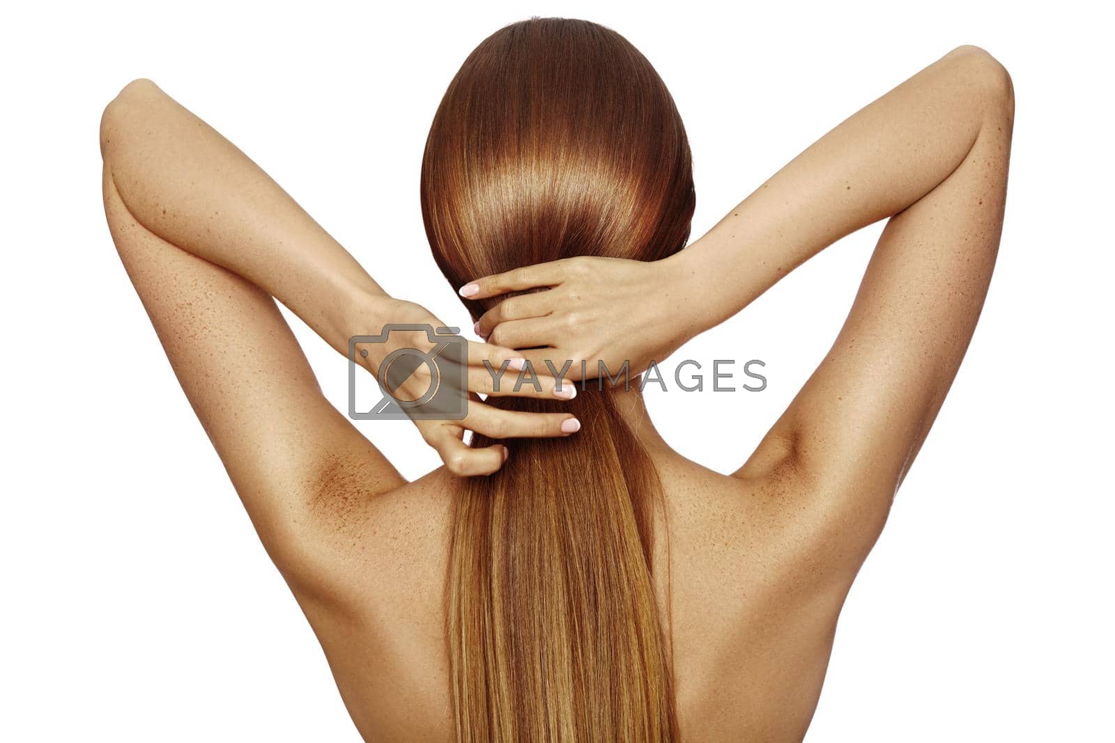 Royalty free image of Healthy Shiny Long Hair in Tale. Beautiful Girl holding her Hair in hand. Back view on white. Hairstyle with strong Hair by MarinaFrost