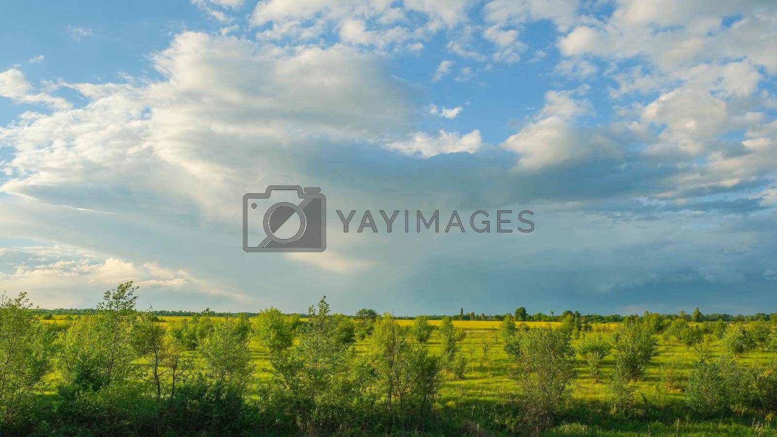 Landscape of the horizon and beautiful sky. Cloud after rain.