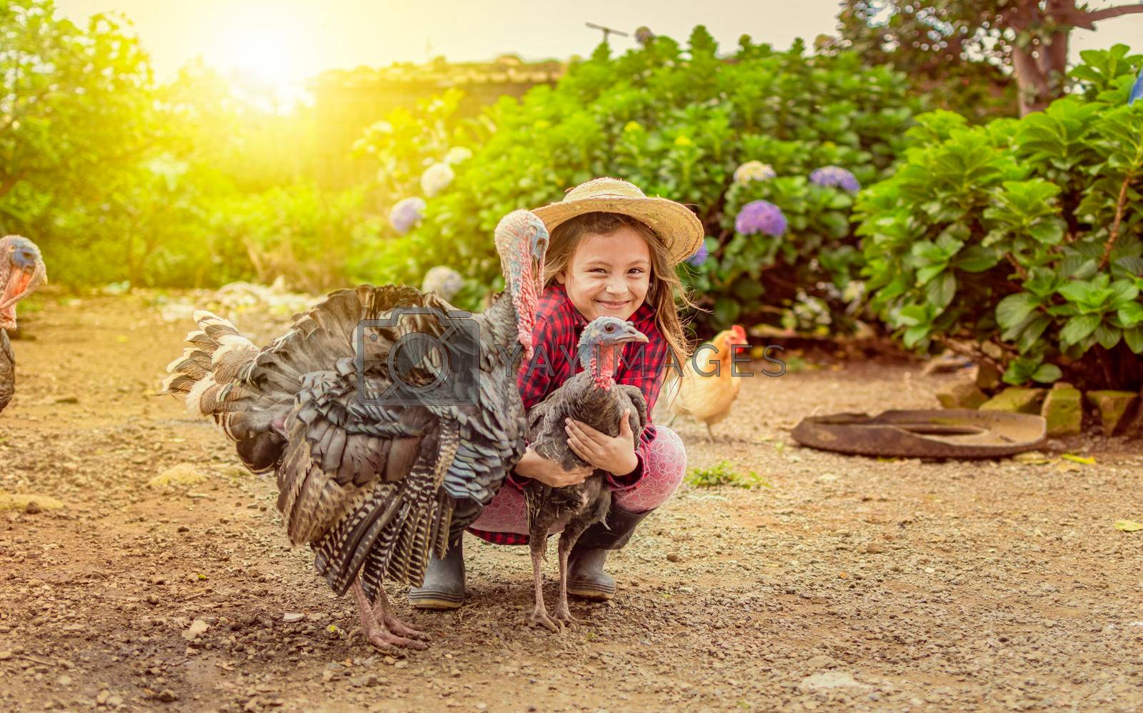 Royalty free image of farmer girl hugging turkey, farmer girl feeding turkeys at sunset, girl feeding farm animals, farm girl and turkey by isaiphoto