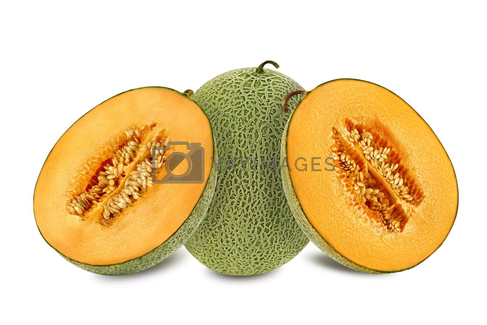 Royalty free image of Delicious cantaloupe melon in a cross-section, isolated on white background with copy space for text or images. Side view. Close-up shot. by nazarovsergey