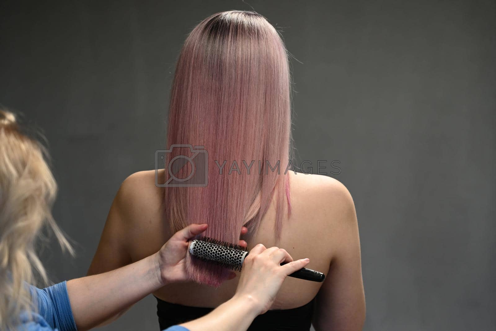 Royalty free image of Hairdresser's hands combing model's dyed hair from behind by chichaevstudio