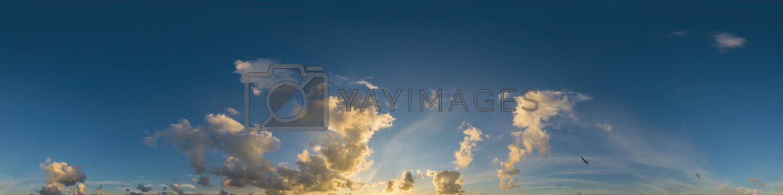 Royalty free image of Dramatic sunset sky panorama with Cumulus clouds. Seamless hdr 360 pano in spherical equirectangular format. Complete zenith for 3D visualization, game and sky replacement for aerial drone panoramas by Matiunina
