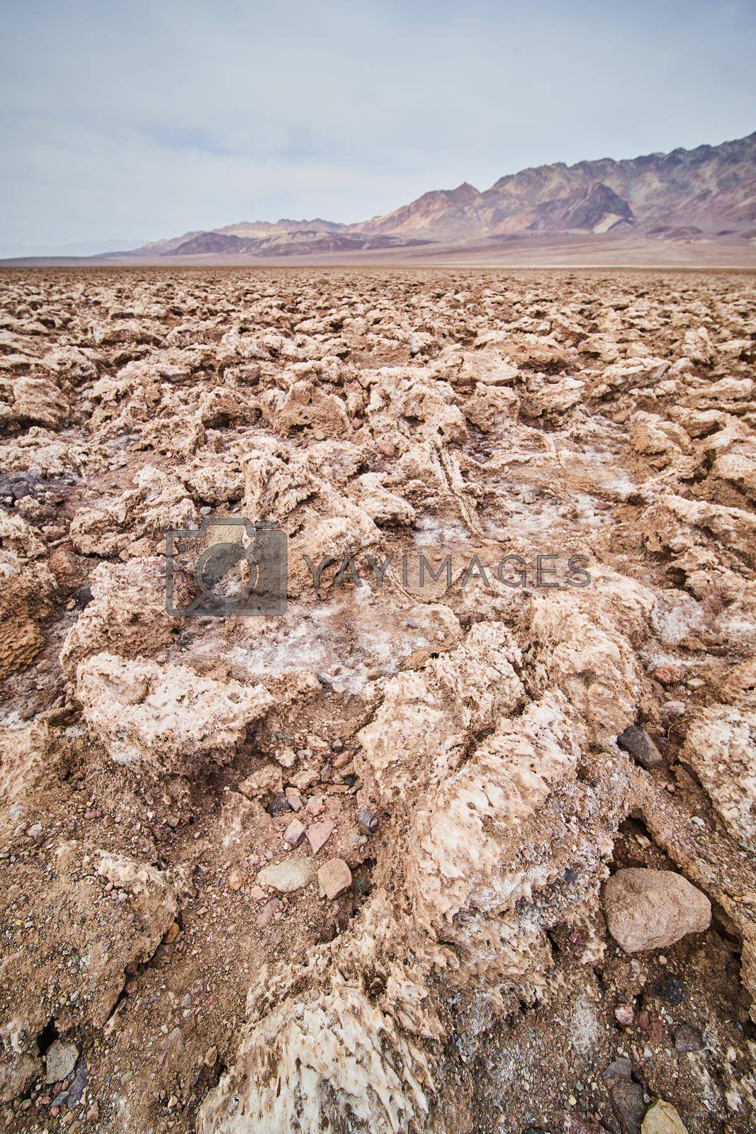 Royalty free image of Sharp eroded salt formations in Death Valley salt flats by njproductions