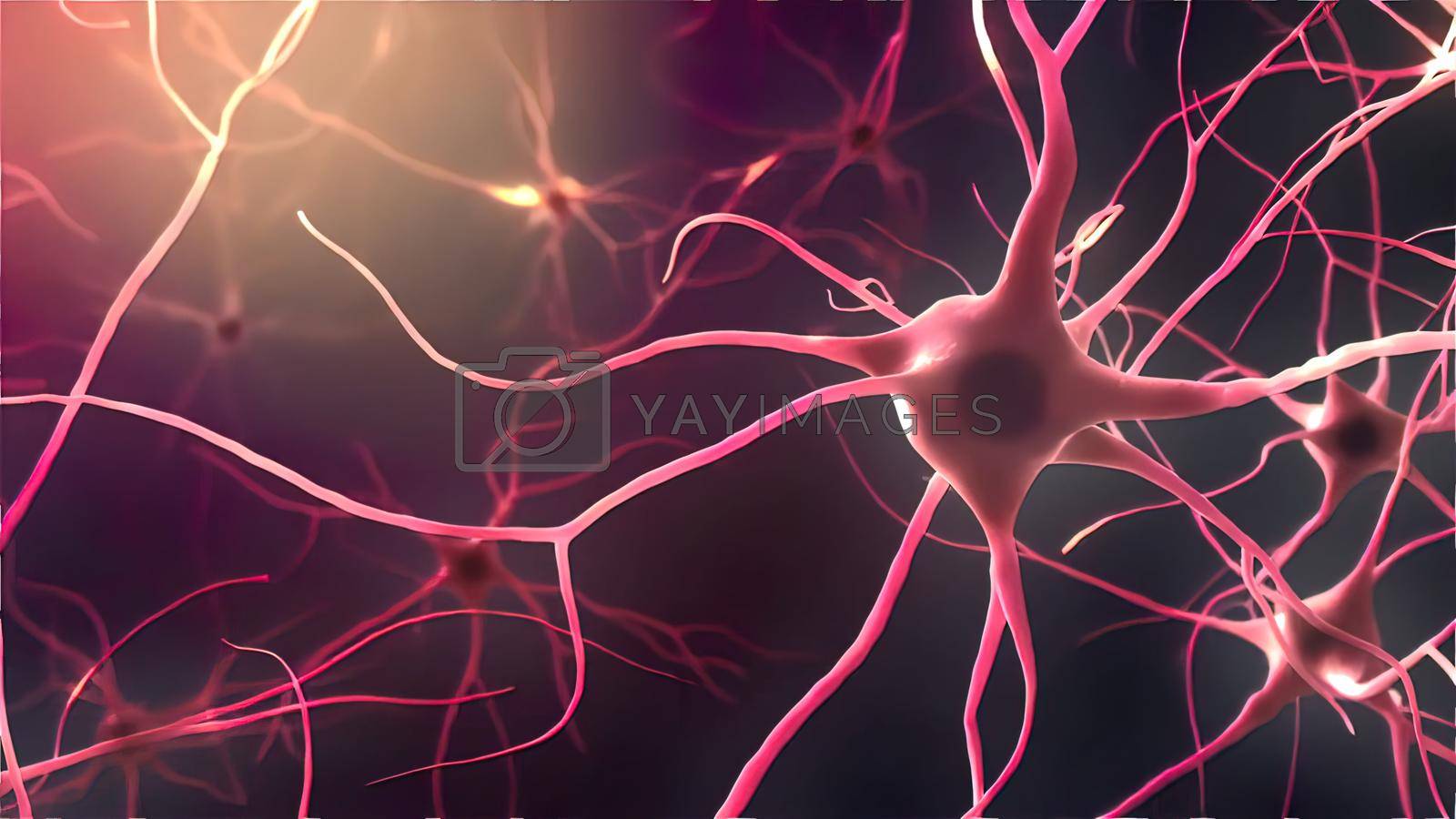 Royalty free image of Neurons, Neural Connections, Signal Transmission by creativepic