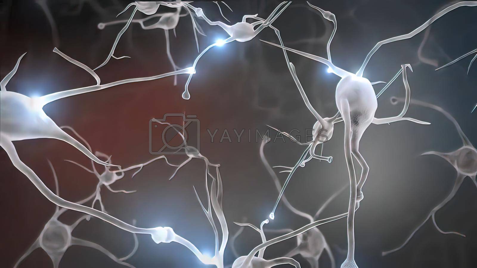 Royalty free image of Neuron and synapses medical illustration. by creativepic