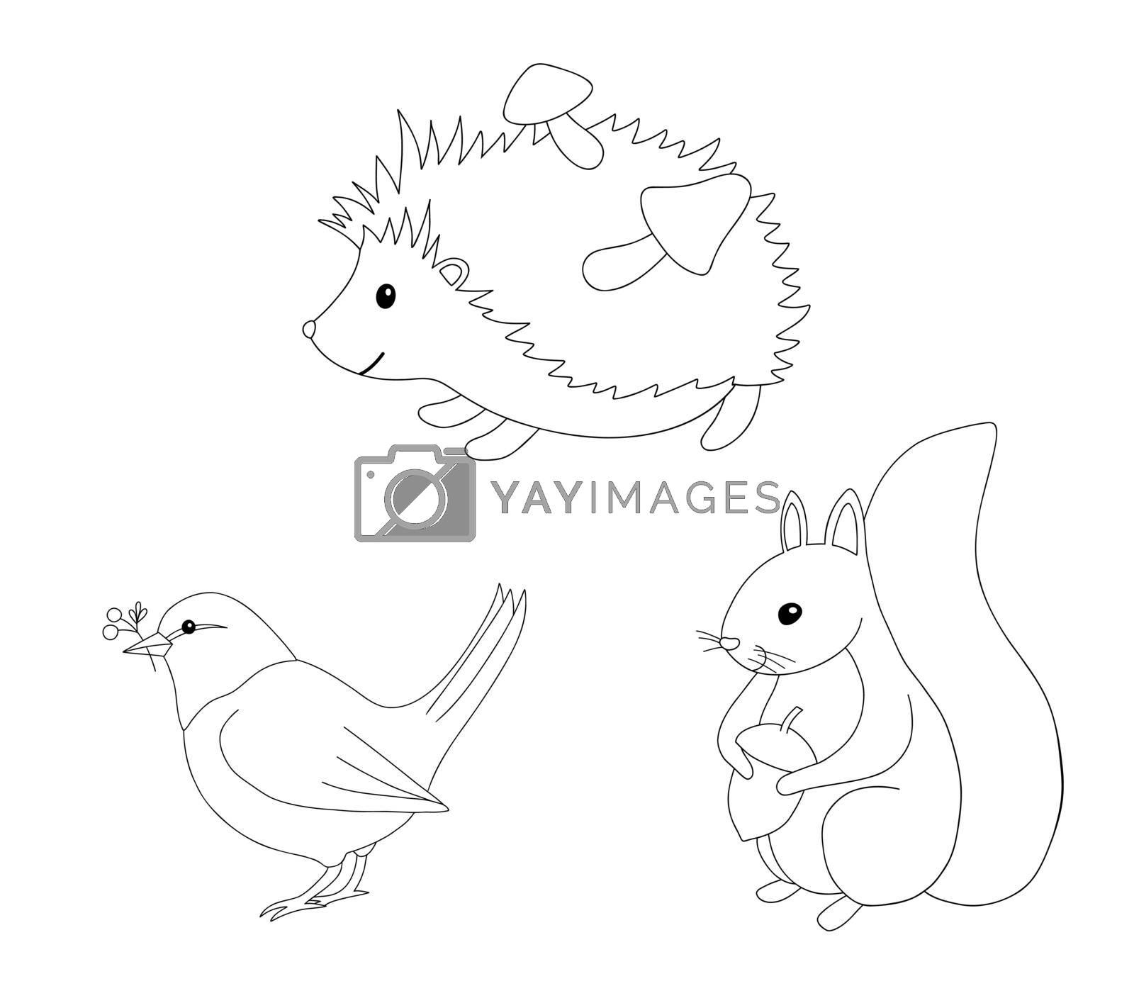 Cute outline hedgehog, squirrel and bird for coloring page. Hand drawn characters forest animals isolated on white background. Line Woodland fall illustration