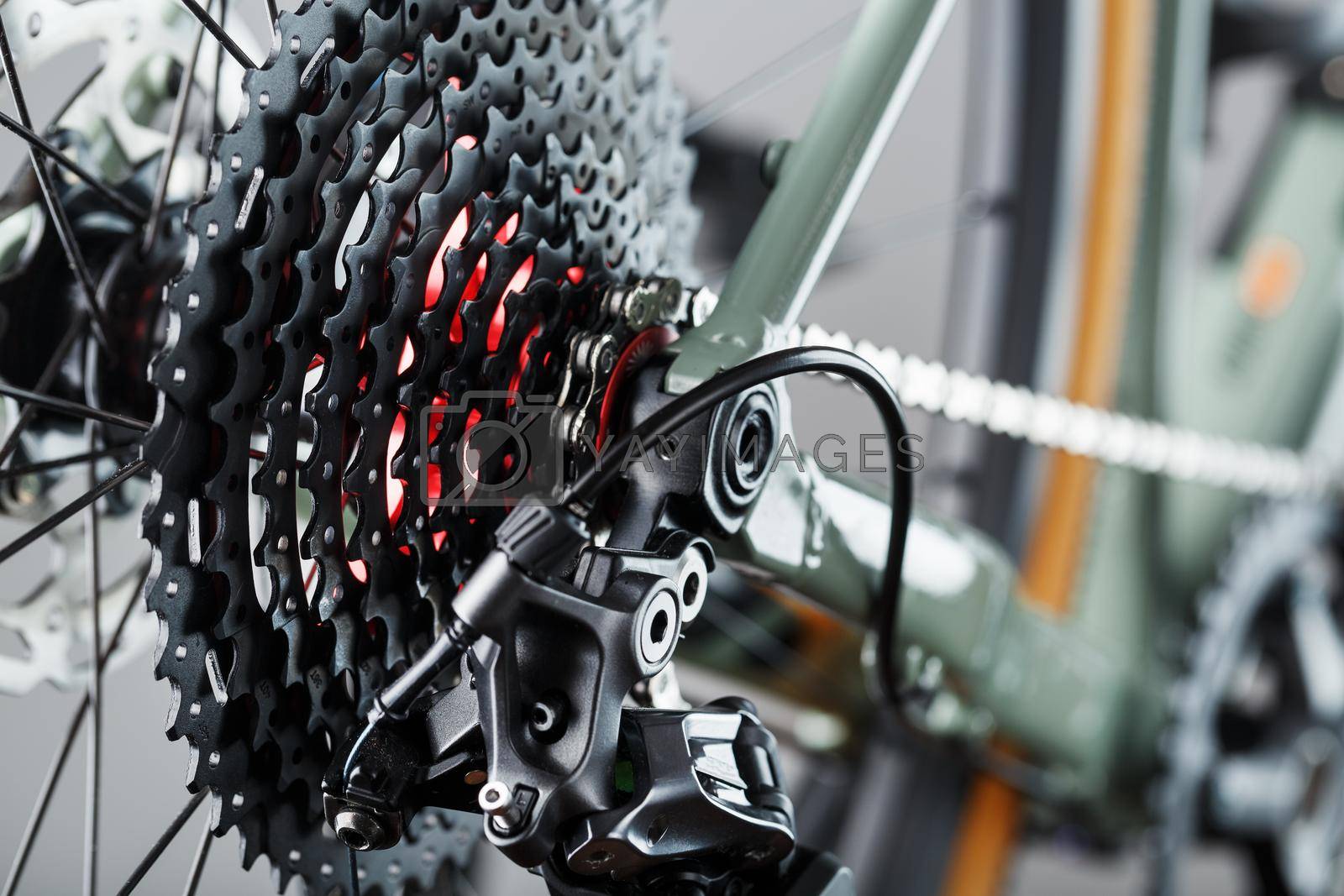 Royalty free image of Rear bicycle cassette speeds with a wide range and chain close-up by AlexGrec