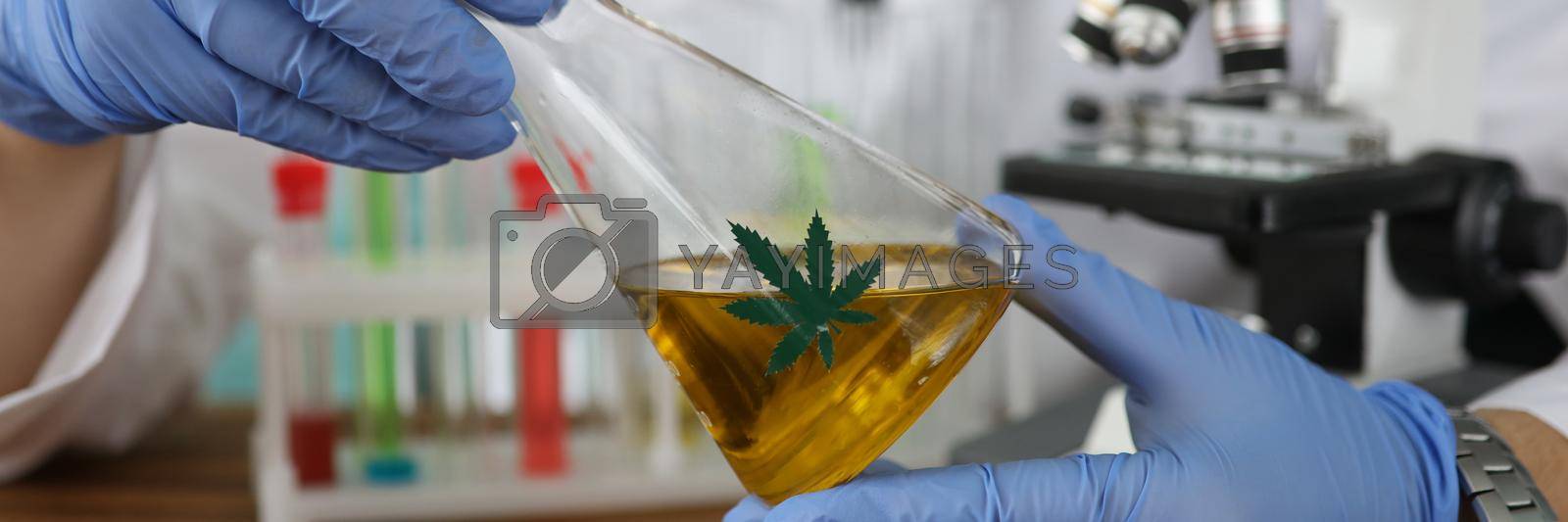 Royalty free image of Chemist in gloves holding flask with marijuana oil in laboratory closeup by kuprevich